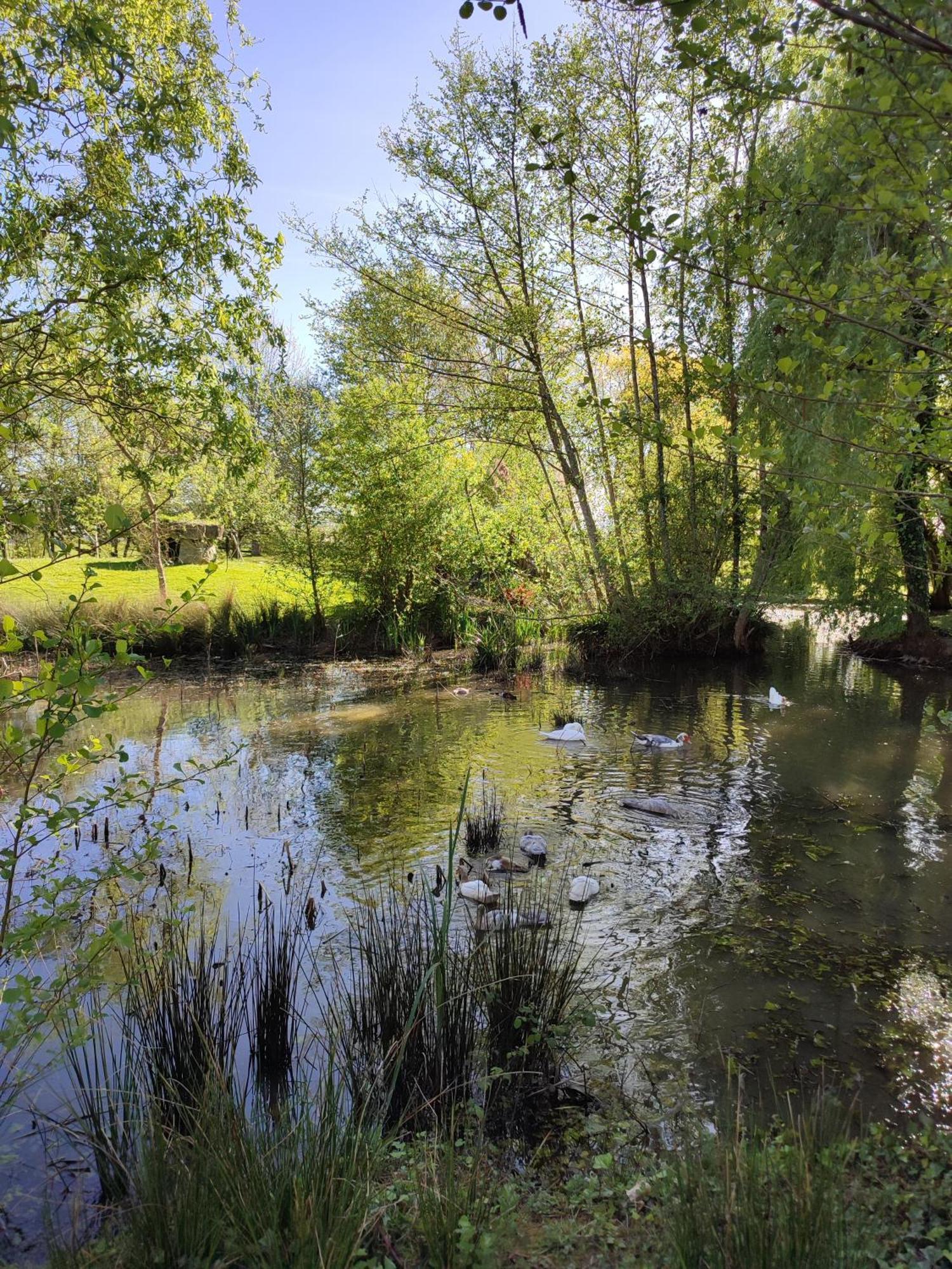 De Couleurs Et D'eau Fraiche Bed & Breakfast Navarrenx